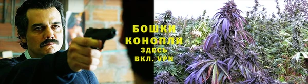 a pvp Каменногорск